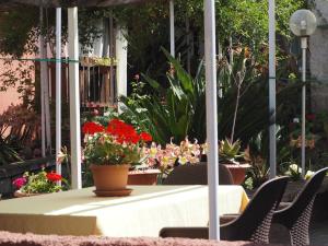 Abbamala Village img8