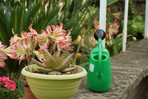 Abbamala Village img11