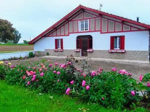 Maison du Coucou - Montaut