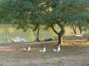 LE GRAND CASTILLON - Gîte pêche avec 2 étangs privés et foret - 蒙特利尔