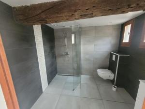 Maisons de vacances LE GRAND CASTILLON - Gite peche avec 2 etangs prives, foret et Jacuzzi en option : photos des chambres