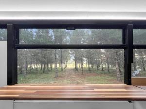 Bussie McBusFace, converted bus in Little River