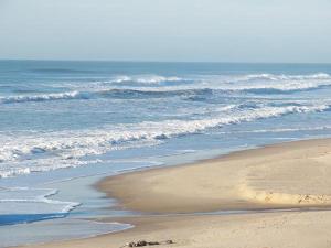 Maisons de vacances Piscine interieure Spa privatif, parc arbore 3000 m2, ocean et lac : photos des chambres