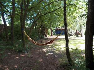 Maisons de vacances Piscine interieure Spa privatif, parc arbore 3000 m2, ocean et lac : photos des chambres