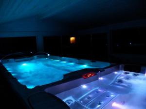 Maisons de vacances Piscine interieure Spa privatif, parc arbore 3000 m2, ocean et lac : photos des chambres