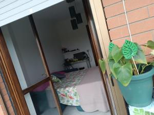 In Casa ZoE