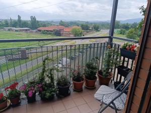 In Casa ZoE