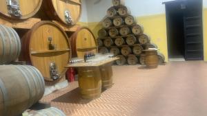 La Mimosa Case Vacanze