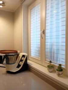 Villa Botton dOro Villa al lago