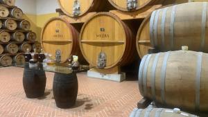 La Mimosa Case Vacanze