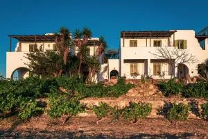 Ailouros summer hotel - 斯希努萨岛