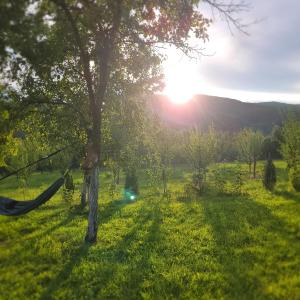 Hanul Doctorului Badeni-Runcu Apartament