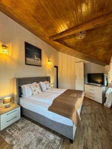 Hanul Doctorului Badeni-Runcu Apartament