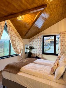 Hanul Doctorului Badeni-Runcu Apartament