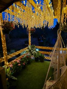 Villas De Los Pinos 2