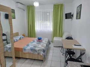 Geo Studios - Papuci