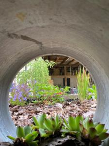 Appartements Le Gite de la Grange : photos des chambres