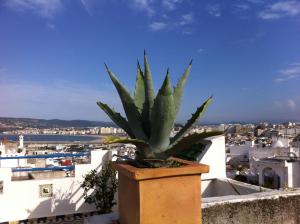 Maison traditionnelle dans la casbah de Tanger