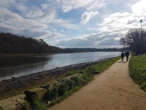 Maisons de vacances Le Chalet de l-Odet : photos des chambres