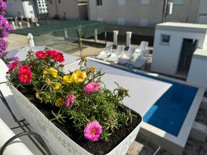 Apartmani Hadžić