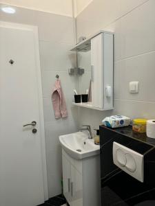 Apartments with WiFi Zagreb - 23344