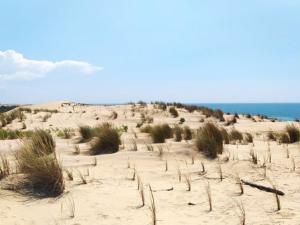 Maison 4 pièces près de la mer avec WIFI et animaux admis - FR-1-705-36