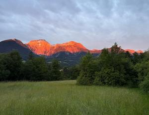 Ferienwohnung Struberberg