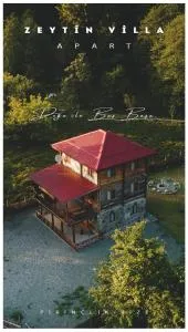 Zeytin Villa Apart - Dernek