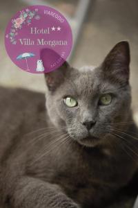 Hotel Villa Morgana