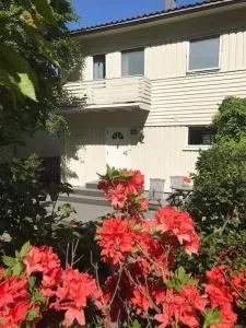 Gåavstand til brygga og Tønsberg sentrum - Melsomvik