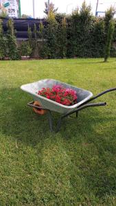 La Casa del Borgo-intero appartamento