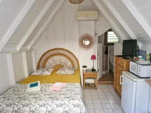 Petite case creole avec jardin au calme - Colombier