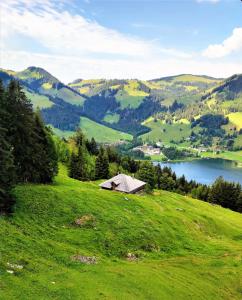 Ferienwohnung Schwarzsee