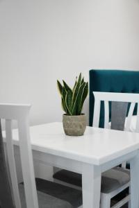 Gardenia Rooms