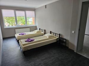 Hostel Brize