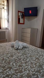 Casina 31