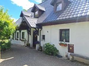 Michałowa Zagroda 2 - Wojcieszyce