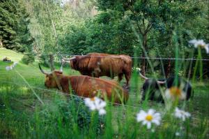 Chalupa na Bečvách