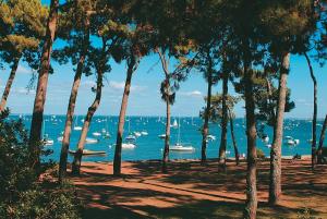 Maisons de vacances Maison 4 chambres et grand jardin : photos des chambres