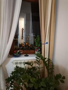 Rajana , Beograd - Hram Svetog Save