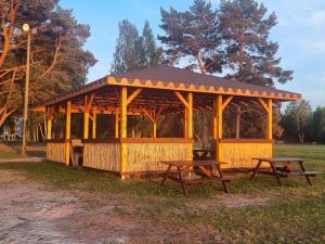 Lämmijärve parvsaun