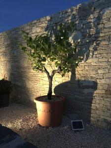 Ferienhaus Villa Emilja