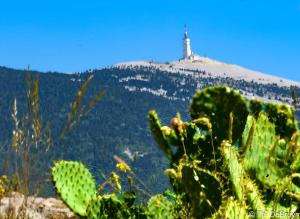 Appartements A GAUGUIN Cyclistes Ventoux : photos des chambres