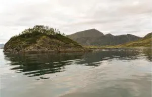 2 Bedroom Awesome Apartment In Kårhamn - Sørvær