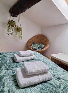 La Garriguette Appart centre historique calme climatisé 6 couchages