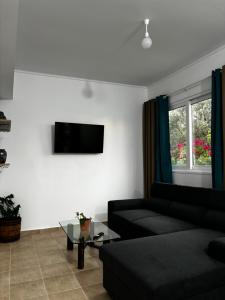 Stellas Olive Tree House