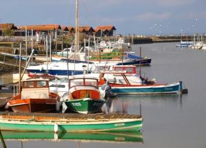 Maisons de vacances Maison T3 avec jardin et piscine : photos des chambres
