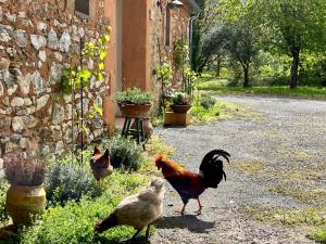 gîte sivade - vue épique - grand jardin clôturé