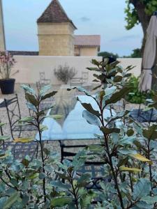 Maisons de vacances Clos d-Antonia, Gite pres de Saint Emilion : photos des chambres