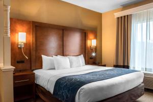 Comfort Suites Scranton near Montage Mountain